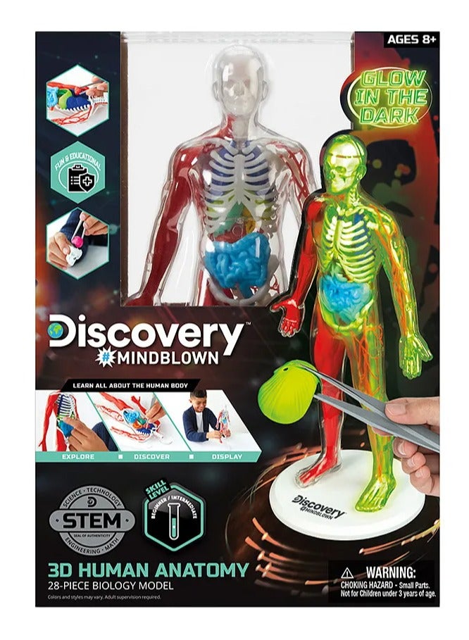Discovery Mind Blown Human Anatomy Stem 3D Puzzle Kit